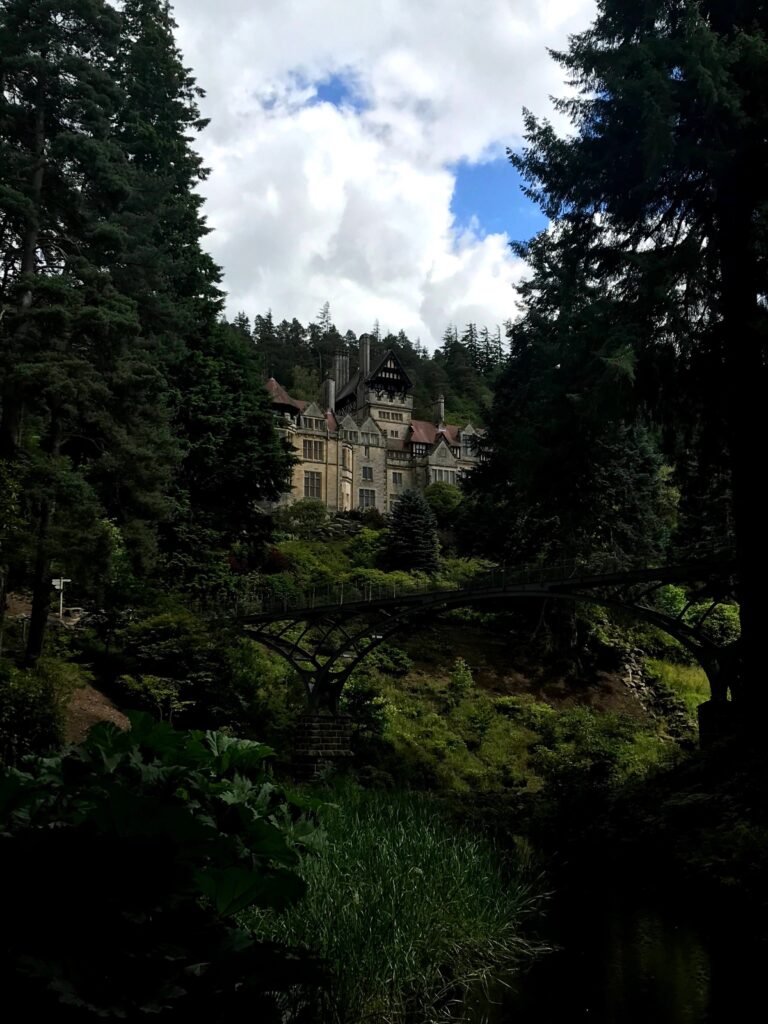 Cragside House in Northumberland poking through a green scenery of trees and nature, with a bridge running across the middle and a blue but cloudy sky
